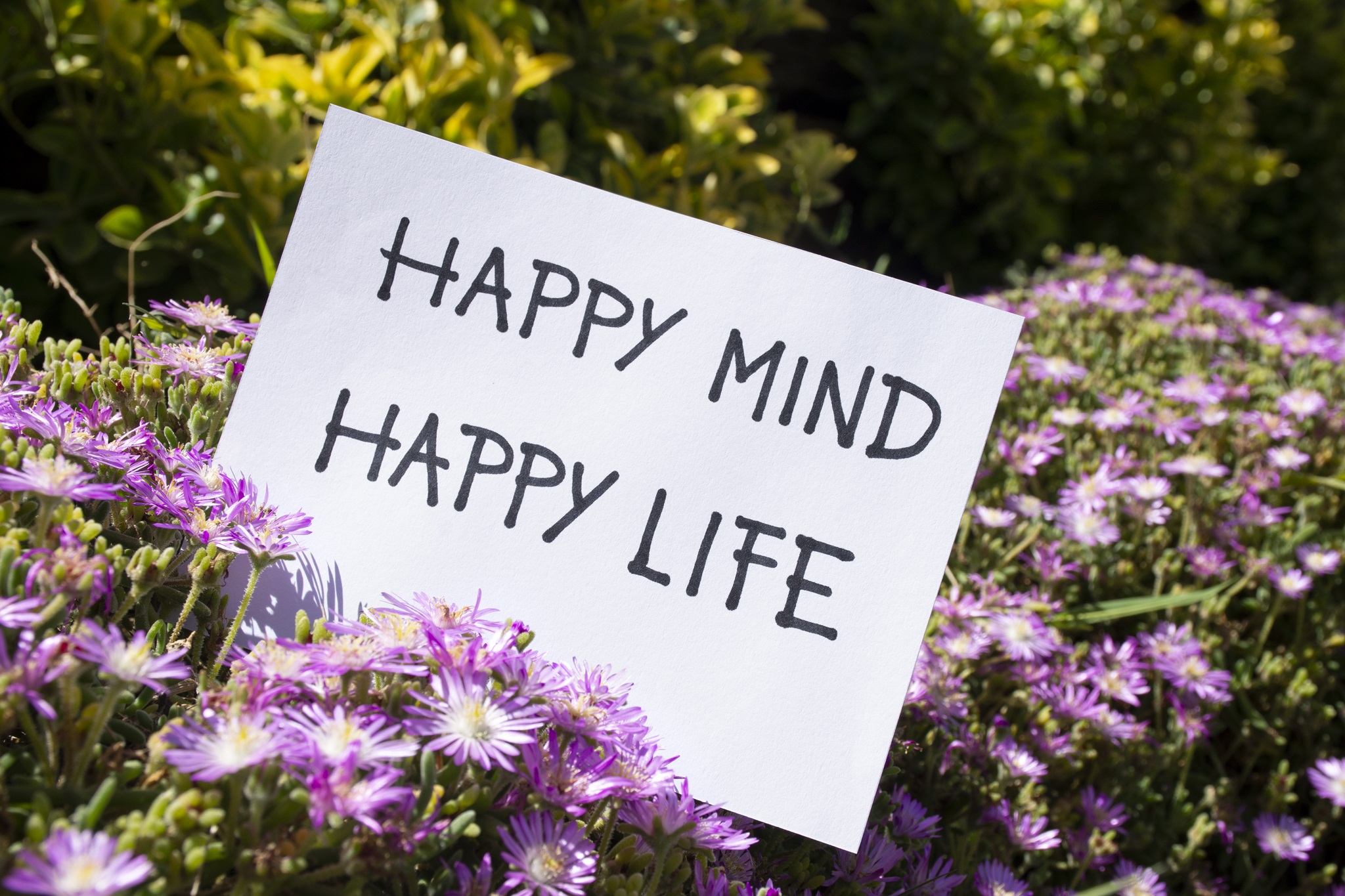 Positive Psychology